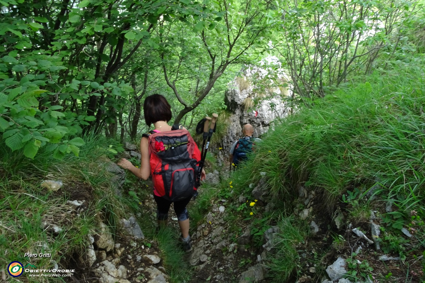 55 Seguendo il sent. 521 scendiamo ai torrioni d'arrampicata in Cornagera.JPG